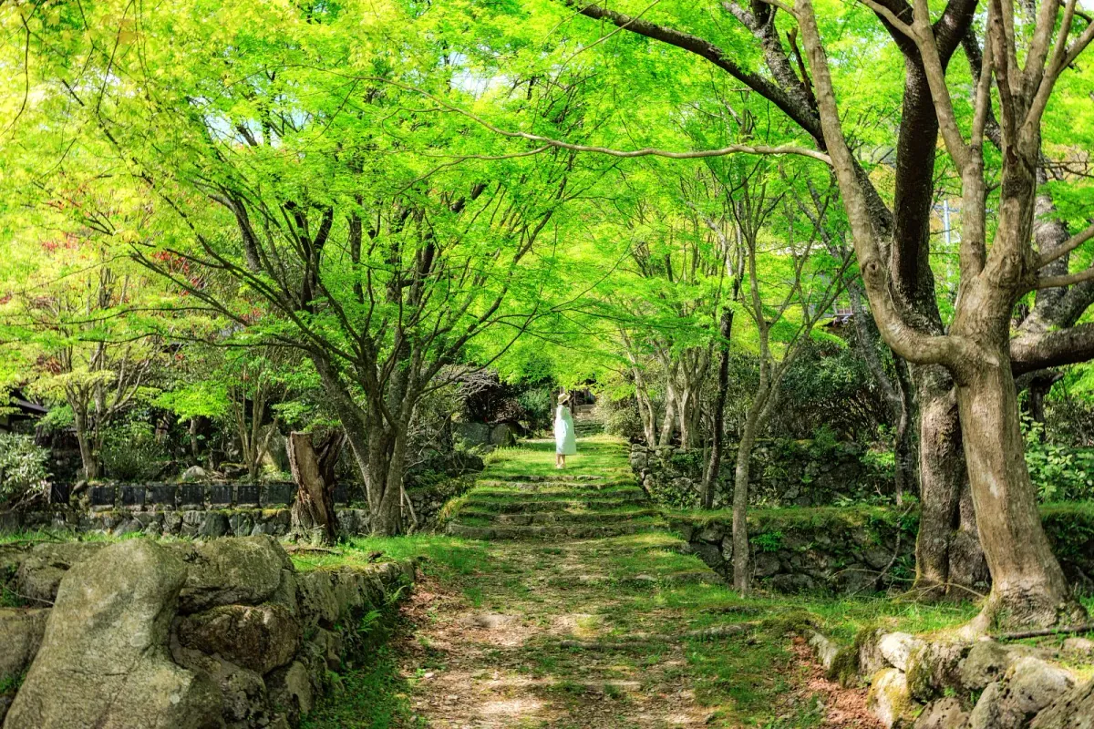 天開山泰運寺
