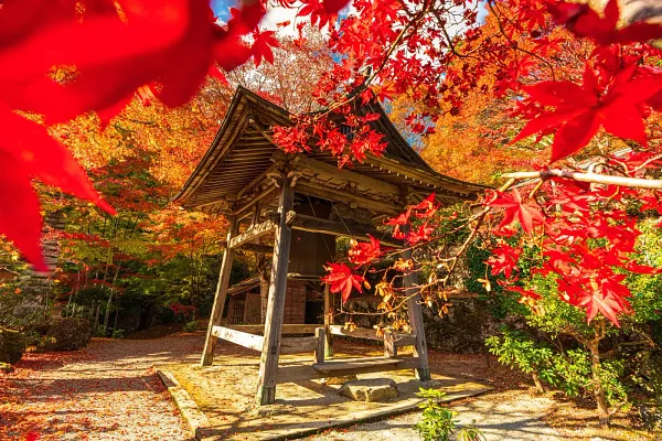 天開山泰運寺