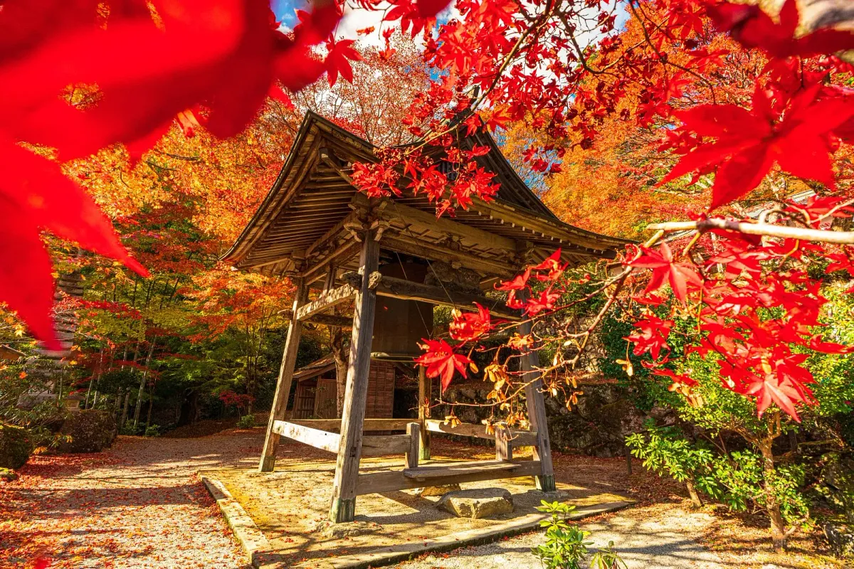 紅葉の間に立つ泰運寺の八角銅鐘