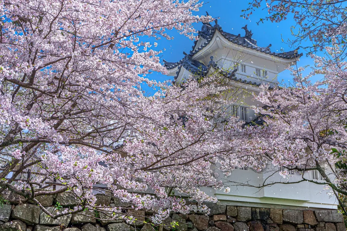 津城（お城公園）