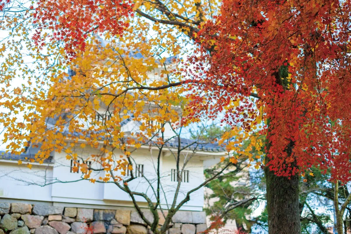 櫓の近くには紅葉が彩る場所も
