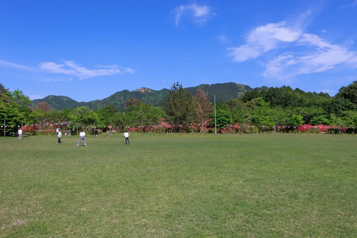 余野公園の広い芝生広場